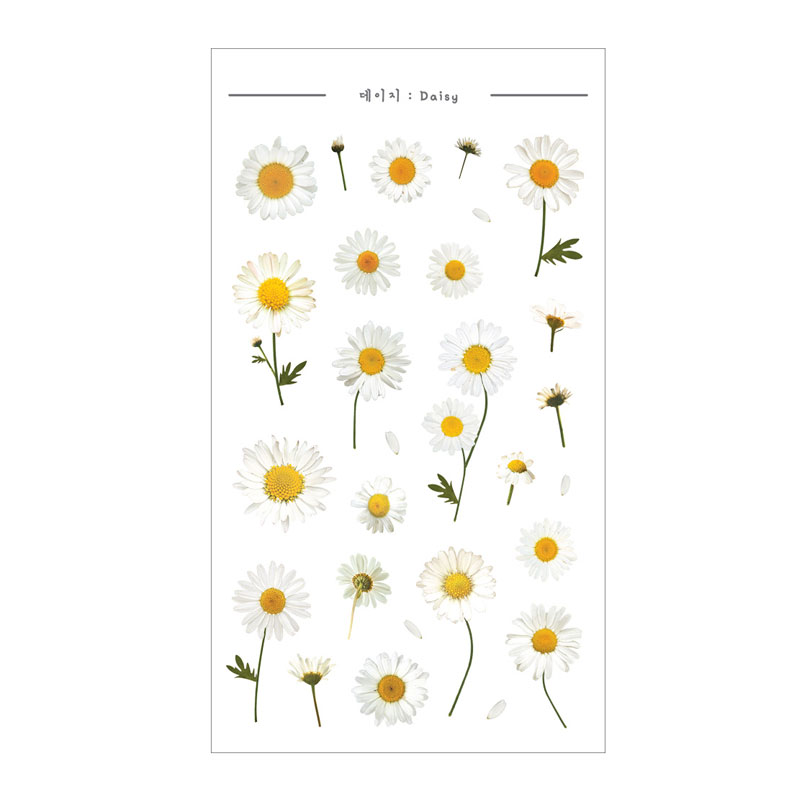 스티커/압화꽃/데이지/DA5555