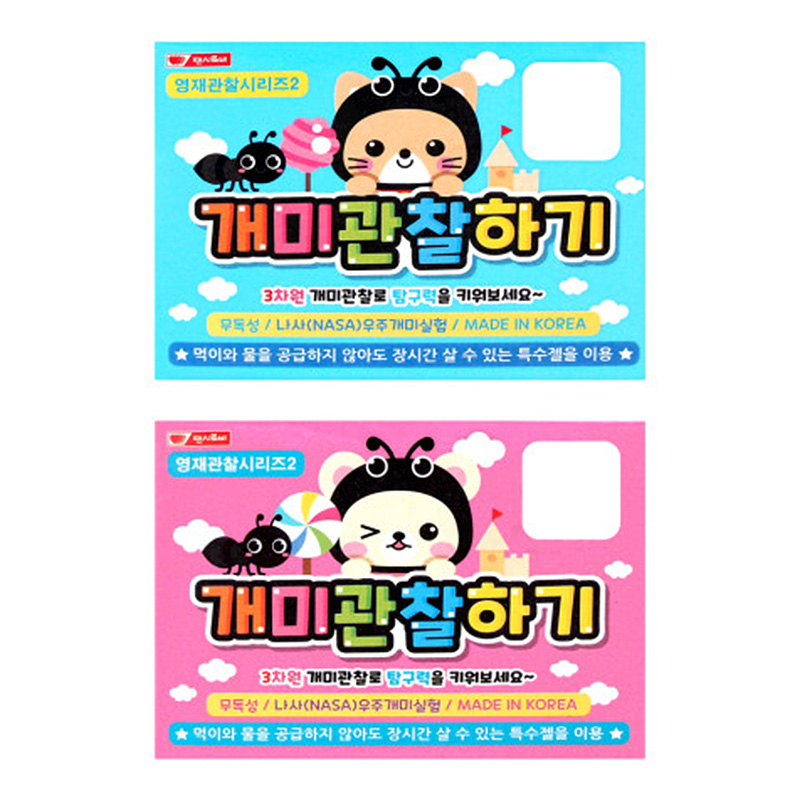 개미관찰하기/3500