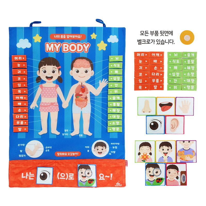 소중한나의몸배우기/차트