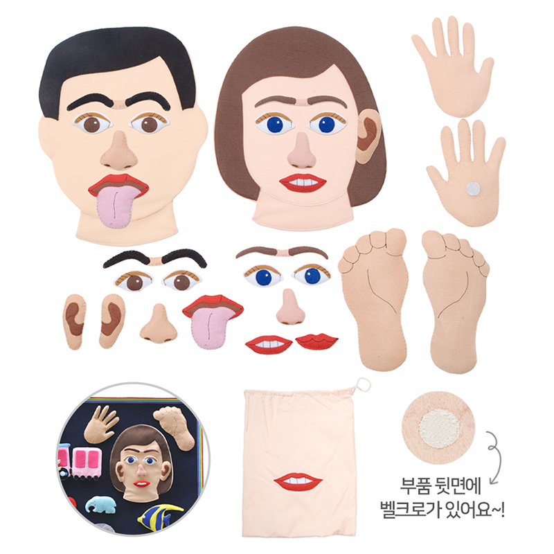 토독/대형/신체/19개/1924
