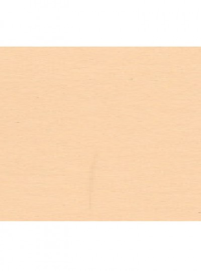 뉴칼라/4절/연주황색/01